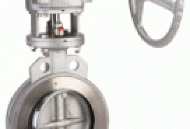 Double and triple offset butterfly valve