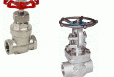 Taps, Stainless steel gate valves